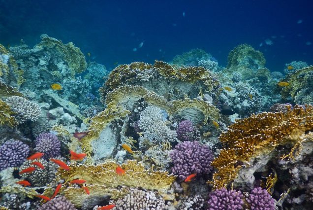 Sharm El Naga
