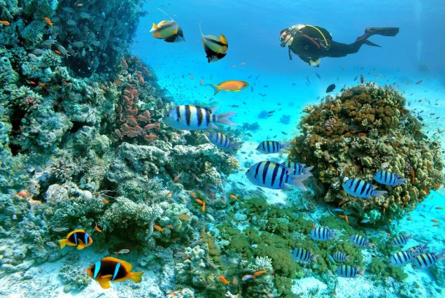 Aquarium